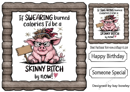 Funny 8X8 Topper Of A Pig With Humour Caption (WOOD)