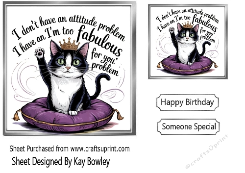 Funny 7x7 Topper With Humour Caption (SILVER ONE)