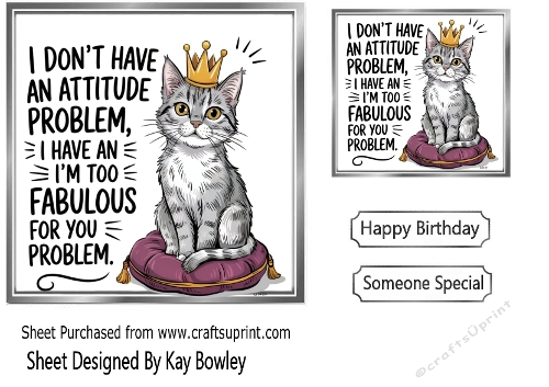 Funny 7x7 Topper Cat With Humour Caption (SILVER TWO)