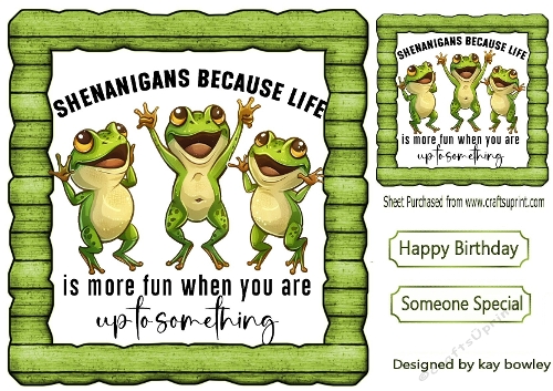 Playful Frogs Humour Caption 8x8 Wood Frame