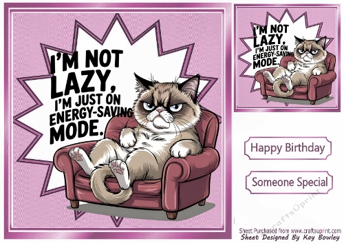 Funky Pink 8X8 Card Front/Topper, With A Moody Cat
