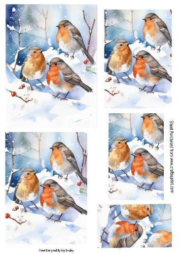  Lovely Robins In The Snow Pyramids (ONE)