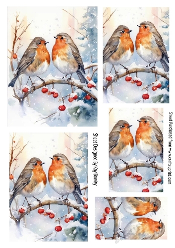 Lovely Robins In The Snow Pyramids (TWO)