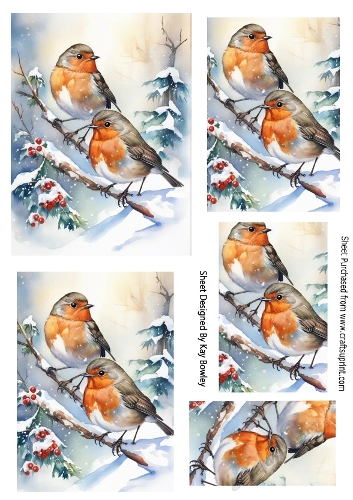 Lovely Robins In The Snow Pyramids (THREE)