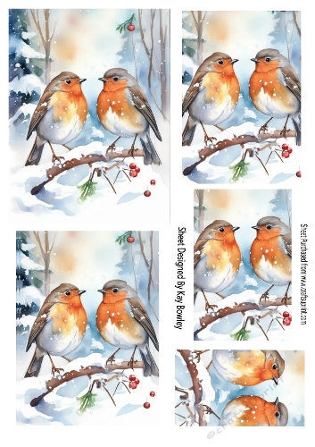 Lovely Robins In The Snow Pyramids (FOUR)