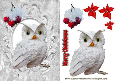 Little Snow Owl with Red Berries