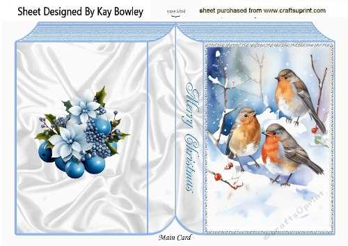    A5 Folded Book With Pretty Robins With Snow (ONE)