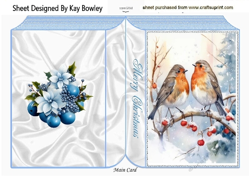 A5 Folded Book With Pretty Robins With Snow (TWO)