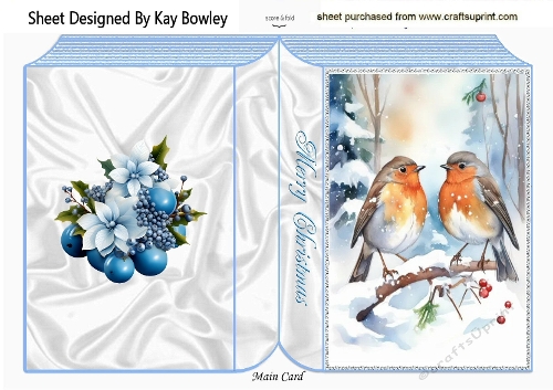 A5 Folded Book With Pretty Robins With Snow (THREE)