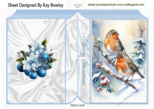 A5 Folded Book With Pretty Robins With Snow (FOUR)