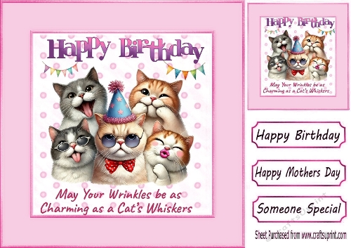 Cats & Friends  8X8 Topper/Card Front Pink Polkadot