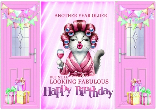Lovely Cat Looking Fabulous  Humour A5 Pink Gatefold