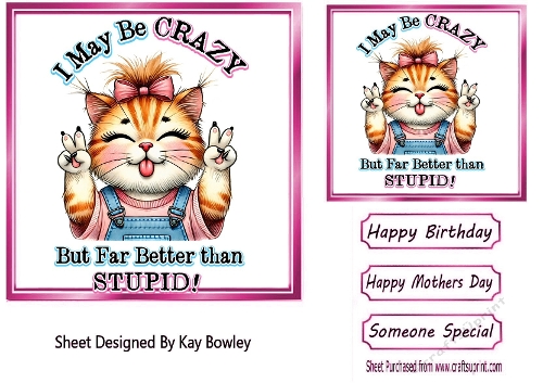 Cheeky Cat With Humour 7X7 Pink Topper/Card Front