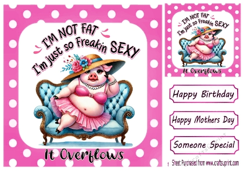 Just Feel Like Lazing With Humour  8x8 Topper/Card Front