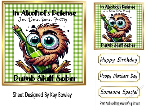 Owl  With Funny Humour 7X7 Gold/Green Topper/Card Front (ONE)