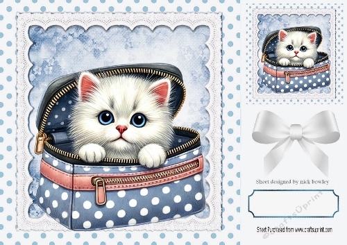 Cute Kitten In A Blue Makeup Bag Lace & Bow 8x8 Card/Toppers