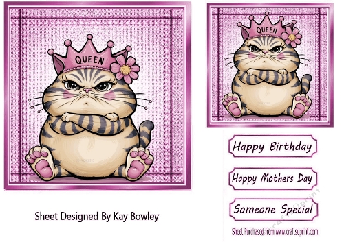 Pink Denim 7x7 Topper/Card Front With Animal Humour (SEVEN)