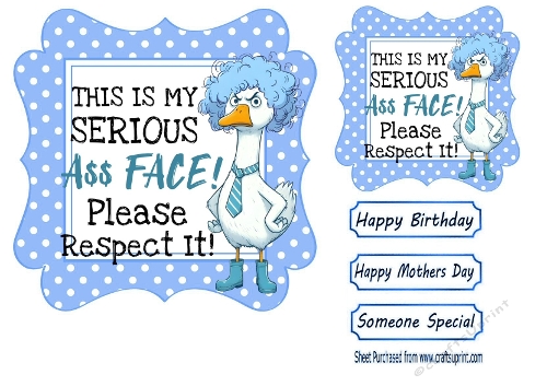 Blue Polkadot 7x7 Topper/Card Front With Goose Humour (ONE)