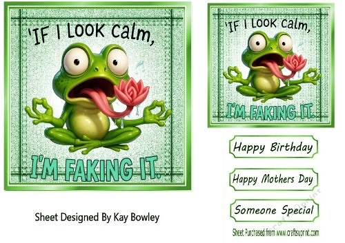 Gold Denim 7x7 Topper/Card Front With Frog Humour (TWO)