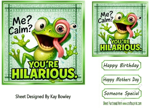 Gold Denim 7x7 Topper/Card Front With Frog Humour (THREE)