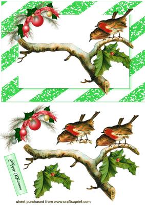 Two Little Robins on a Branch