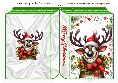 Funny Face Christms Reindeer Folded A5 Book (ONE)