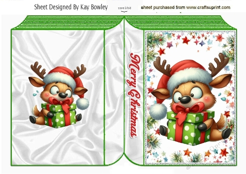 Funny Face Christms Reindeer Folded A5 Book (TWO)