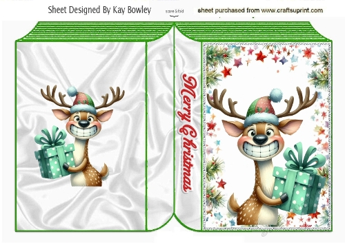 Funny Face Christms Reindeer Folded A5 Book (THREE)