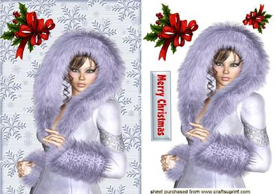 Pretty Lady in Silver Fur Snow Suit