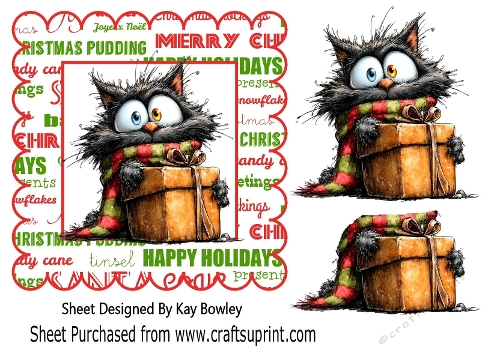 Cute Whimsical Cat With Gift 7x7 Card Frame (ONE)