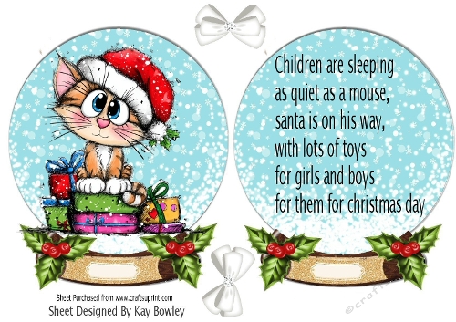 Snow Globe With Whimsical Funny Cat  With Insert (TWO)