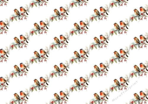 Christmas Robins On A Branch Backing Paper