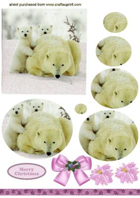 Baby Polar Bears with Mum, Oval Pyramids