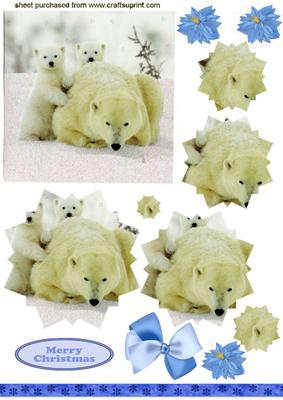 Baby Polar Bears with Mum, Star Pyramids