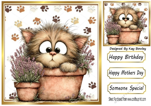 Cute Little Kitten With Pink Flowers 8x8 (FOUR)
