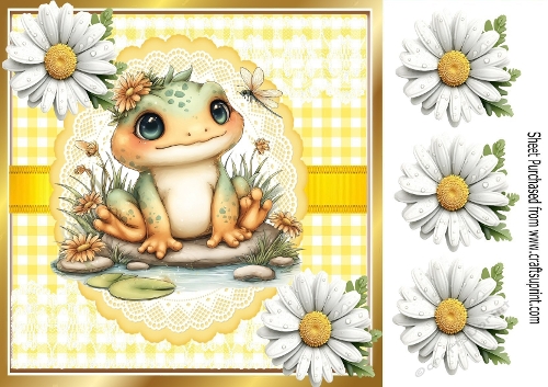 Pretty White Daisies With Cute Frog 8X8 (THREE)