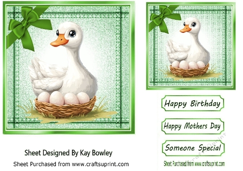 Cute Little Duck 7x7 Green Denim Topper With Bow (TWO)