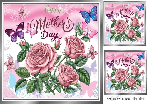 Pretty Pink Roses & Butterflies For Mothers Day 8x8