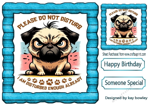 One Angry Pug With Attitude 8X8