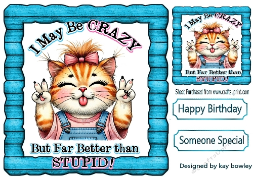 Crazy Cat With Humour 8X8
