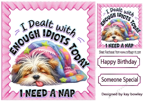 Sleepy Dog With Attitude & Pink Frame 8x8