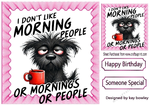 Dont Do Mornings Attitude Dog 8X8 Pink