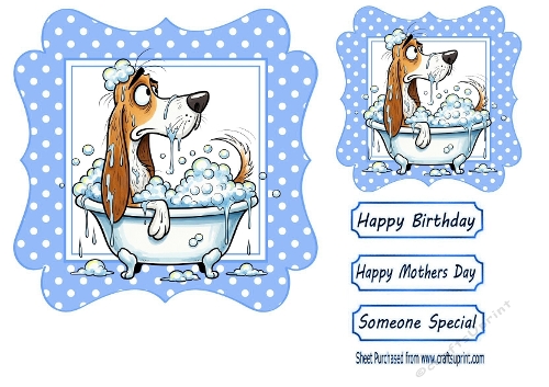 Funny Dog In A Bath 7x7 Blue Polka Dot (TWO)