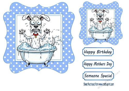 Funny Dog In A Bath 7x7 Blue Polka Dot (THREE)