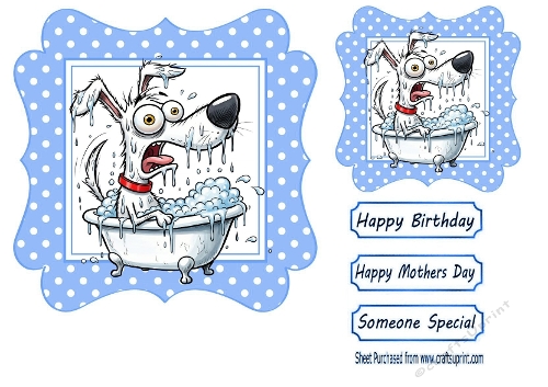 Funny Dog In A Bath 7x7 Blue Polka Dot (FOUR)