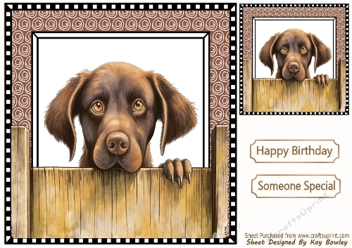 Cheeky Dog Peeking Over Fence 8x8 (FIVE)