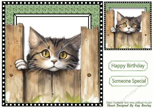 Cute Cat Peeking Over Fence 8x8 (SIX)