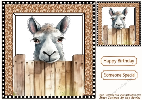 Funny Face Llama Peeking Over Fence 8x8 (TEN)