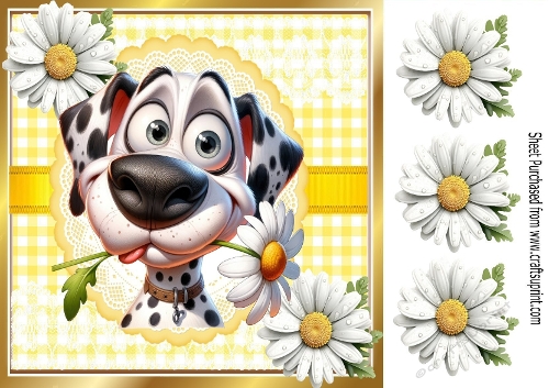 Funny Face Dog With Daisies & Gingham 8x8