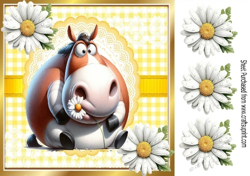Funny Face Horse With Daisies & Gingham 8x8